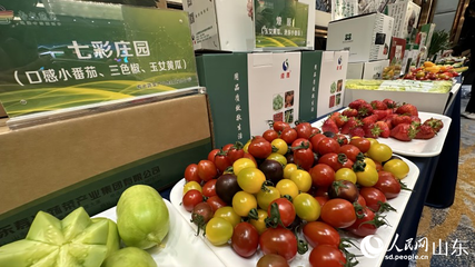 第二十四届中国(寿光)国际蔬菜科技博览会4月20日即将开幕
